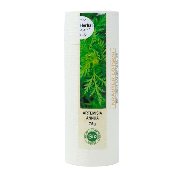 Artemisia Annua Kraut